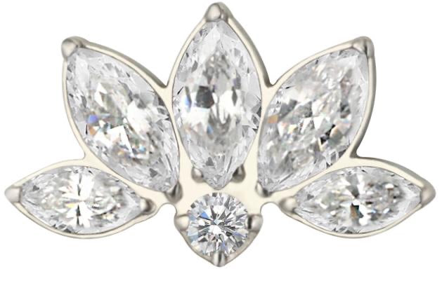 Piercing Titanio 1.2 x 8