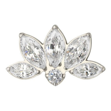 Piercing Titanio 1.2 x 8